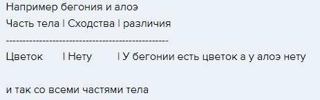 Нужно сравнить части тела бегонии и какого нибудь другого растения на ваш выбор. Нужны сходства и ра