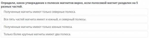 определи какое из утверждений о полюсах магнитов верное если полосовой магнит разделен на 5 разных ч