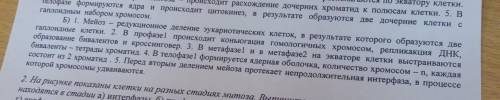 Найдите в каких предложениях допущена ошибка и исправьте