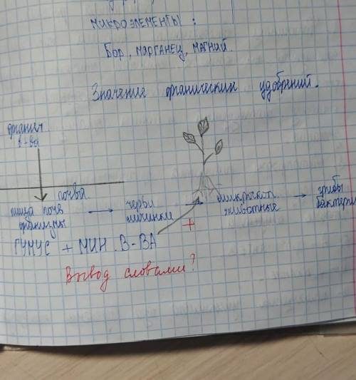 Сделайте вывод слова по схеме ГУМУС + МИН.В-ВА