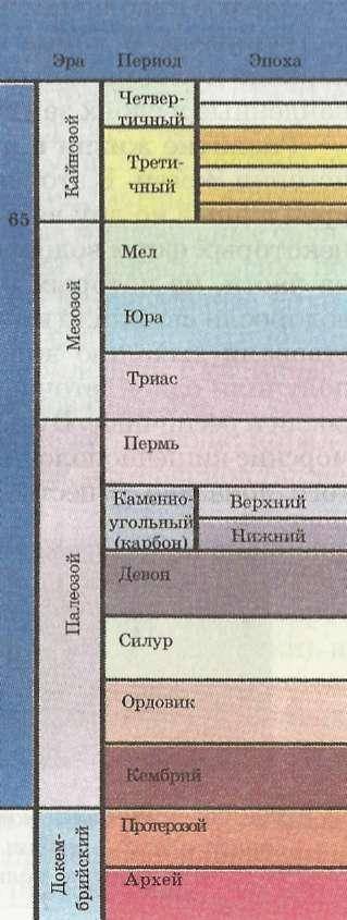 что определяет летопись истории земли? ​