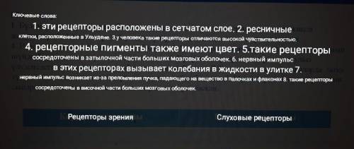 Надо поставить эти слова на нужные местарецепторы зрения:слуховые рецепторы:​