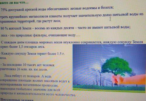 Сделай вывод одним предложением по прочитанному тексту