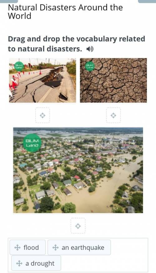 Drag and drop the vocabulary related to natural disasters​