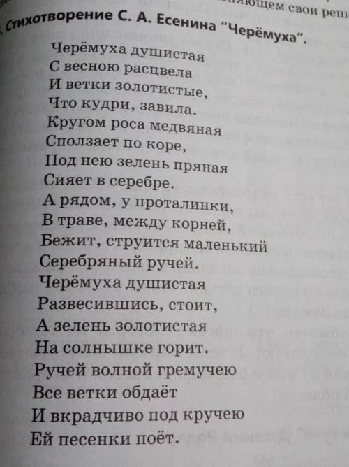 Напиши небольшое по объему эссе-повествование о черёмухе. Расскажи о том, как она росла, взрослела,