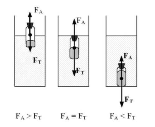 Полностью опущенная в воду пробирка вытесняет 40 см3 (0,00004 м3) воды. 1. Рассчитайте выталкивающую