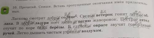 2 10. Прочитай. Спиши. Вставь пропущенные окончания имея прилагательстучит по коре бел берёзы. В глу