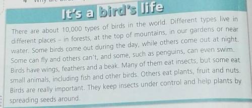 In pairs collect information, then prepare a short heT/F quiz about birds. Present it to the class.