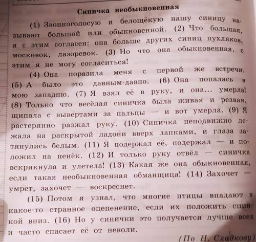 7) Составь и запиши план текста из трёх пунктов. В ответе ты можешь использовать сочетания слов или