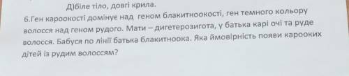 Ген кароокості домінує над геном блакитноокості, ген темного кольору волосся над геном рудого. Мати