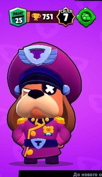 У кого также пишите у меня или есть просто бравл пасс и есть гавс но не на 25 ранге 