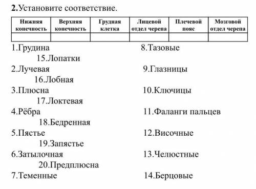 Установите соответствие. Нижняя конечность Верхняя конечность Грудная клетка Лицевой отдел черепа Пл