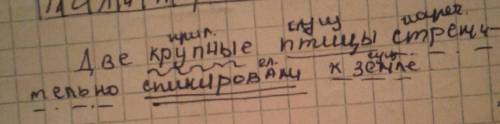 Определить главные и второстепенные члены предложения: «Две крупные птицы стремительно спикировал к