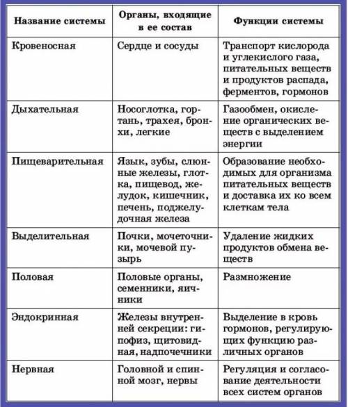 Заполните таблицу «системы органов пресмыкающихся и их значение» Название системы Органы в составе с