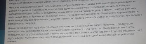 2. Назови основную тему текста. 2.Участие пчёл в повышении урожайности.1.Лечебные свойства пчелиного