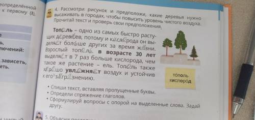 4 Рассмотри рисунок Определи Какие деревья нужно рассаживать в городах чтобы повысить уровень чистог