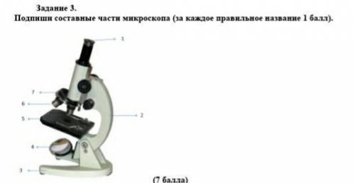 естество знание 5 класс там легко для когото