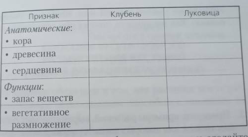 Занесите полученные результаты в таблицу (отметьте знаком «+» или «-»).Признаки побега, присущие клу