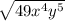 \sqrt{49x^{4} y^{5} }