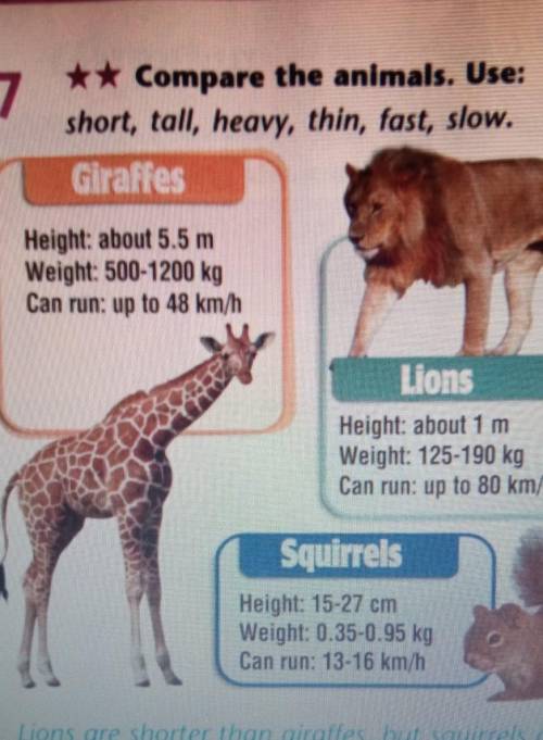 7 ** Compare the animals. Use:short, tall, heavy, thin, fast, slow.GiraffesHeight about 5.5 mWeight: