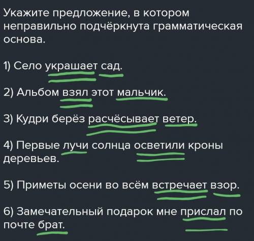 Укажите предложение, в котором неправильно подчёркнута грамматическая основа. 1) Село украшает сад.