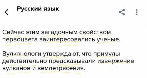 Сейчас этим загадочным свойством первоцвета заинтересовались ученые. Вулканологи утверждают, что при