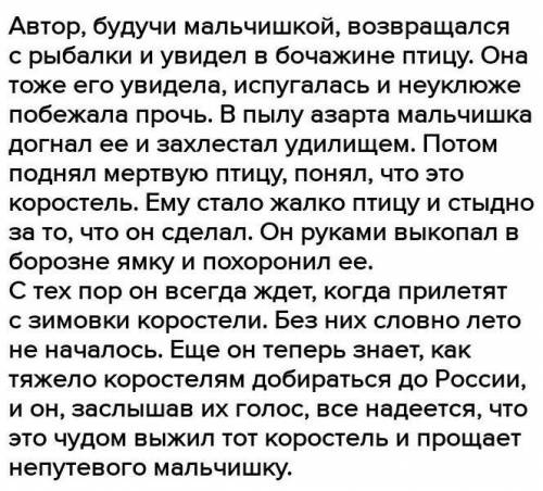 Синквейн по рассказу зачем я убил коростеля очень