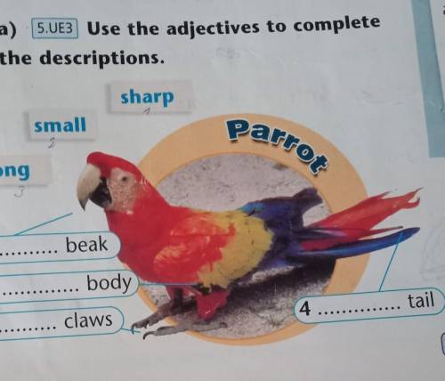 Parrot 6.a) 5.UE3 Use the adjectives to completethe descriptions.sharpsmalllong1 beak2 body3 cla