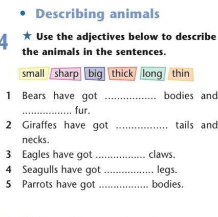 Use the adjectives below to make true