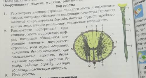 подписать 1 рисунок и 2 рисунок