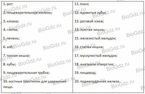 Краткий пересказ параграфа( 40 ) ОРГАН ПИЩЕВАРЕНИЯ.ОБМЕН ВЕЩЕСТВ И ПРЕВРАЩЕНИЕ ЭНЕРГИИ по биологии 7