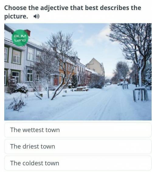 Travelling around the world Choose the adjective that best describes the picture. The wettest townTh