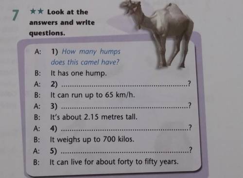 7 ** Look at theanswers and writequestions.2A: 1) How many humpsdoes this camel have?B: It has one h