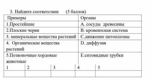 10 вопросов на соответствие - 10/48