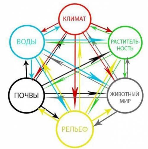 Покажите в схеме взаимосвязь между компонентами, формирующими этот природно-территориальный комплекс