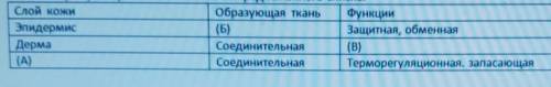 Проанализируйте таблицу «Строение кожи человека». Заполните пустые ячейки таблицы, используя термины