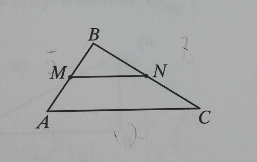 Длины сторон треугольника АВС таковы: АВ = 5см, ВС =8 см, АС =12 см. Отрезок MN средняя линия треуго
