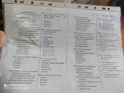 ответить тест по кыргызскому языку