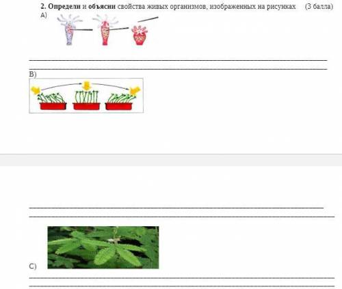 Определи и объясни свойства живых организмов, изображенных на рисунках