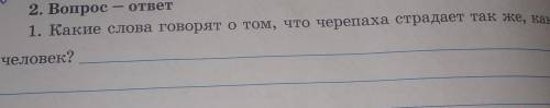 2. Вопрос - ответ1. Какие слова говорят о том, что черепаха страдает так же, какчеловек?​