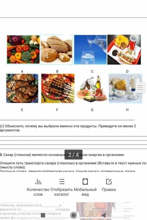 дам куча болов только сделай правильно​