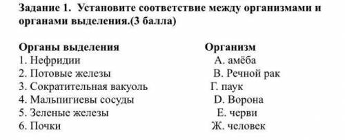 Задание 1. Установите соответствие между организмами и органами выделения.( ) Органы выделения Орган