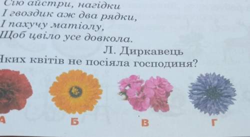 19. Прочитайте вірш: Гей ти, вітре, вітровію,Не пустуй! Я квіти сію.Сію айстри, нагідкиІ гвоздик аж