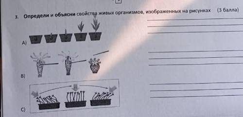 Определите и объясните свойства живых организмов изображенных на рисунке дайте абяснение