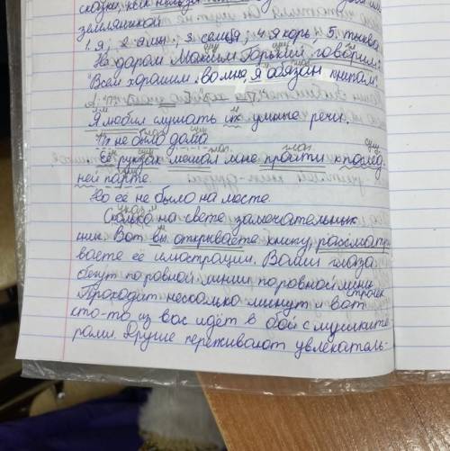 написать абзац из 5 или больше предложений