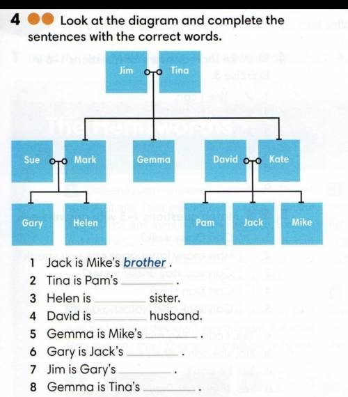 Look at the diagram and complete the sentences with the correct words. ​