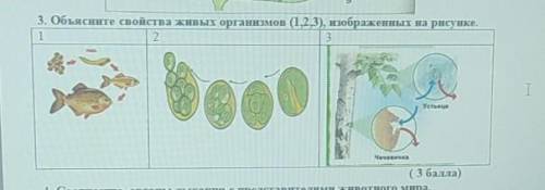 3. Объясните свойства живых организмов (1,2,3), изображенных на рисунке.​