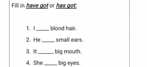 Fill in have got or has got: I blond hair.He small ears.It big mouth.She big eyes​