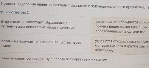 ТЕКСТ ЗАДАНИЯ Процесс выделения является важным признаком в жизнедеятельности организма, так как:​