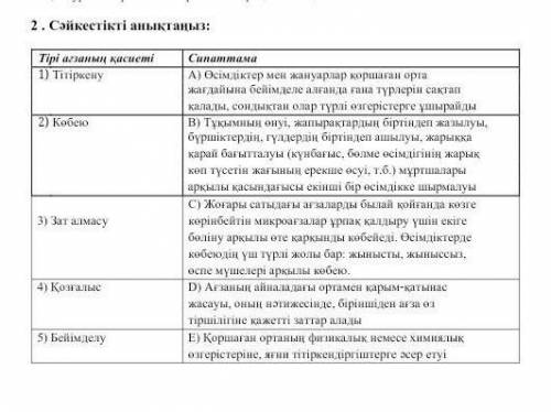 тапсырма сөретте те керек көп бал​